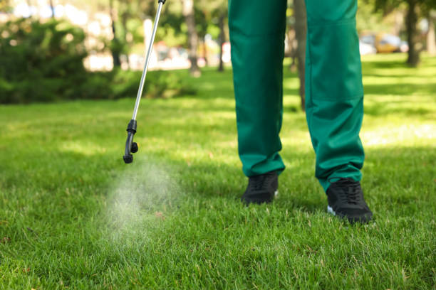 Pest Control for Restaurants in Lodi, NJ