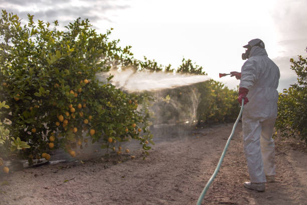 Best Exterminator Services  in Lodi, NJ