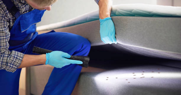 Best Insect Control  in Lodi, NJ