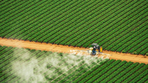 Best Pest Control Cost  in Lodi, NJ