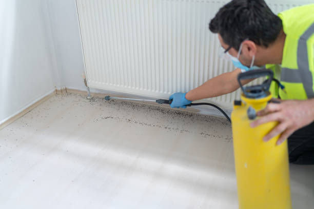 Best Flea Control Services  in Lodi, NJ