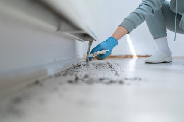 Best Best Pest Control Companies  in Lodi, NJ