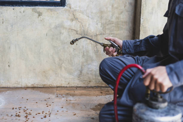 Best Affordable Pest Control Services  in Lodi, NJ
