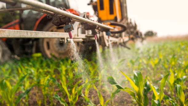 Best Wildlife Control Services  in Lodi, NJ